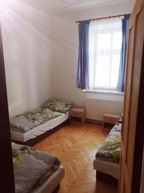 Penzion U Trojice Červená Voda Kültér fotó